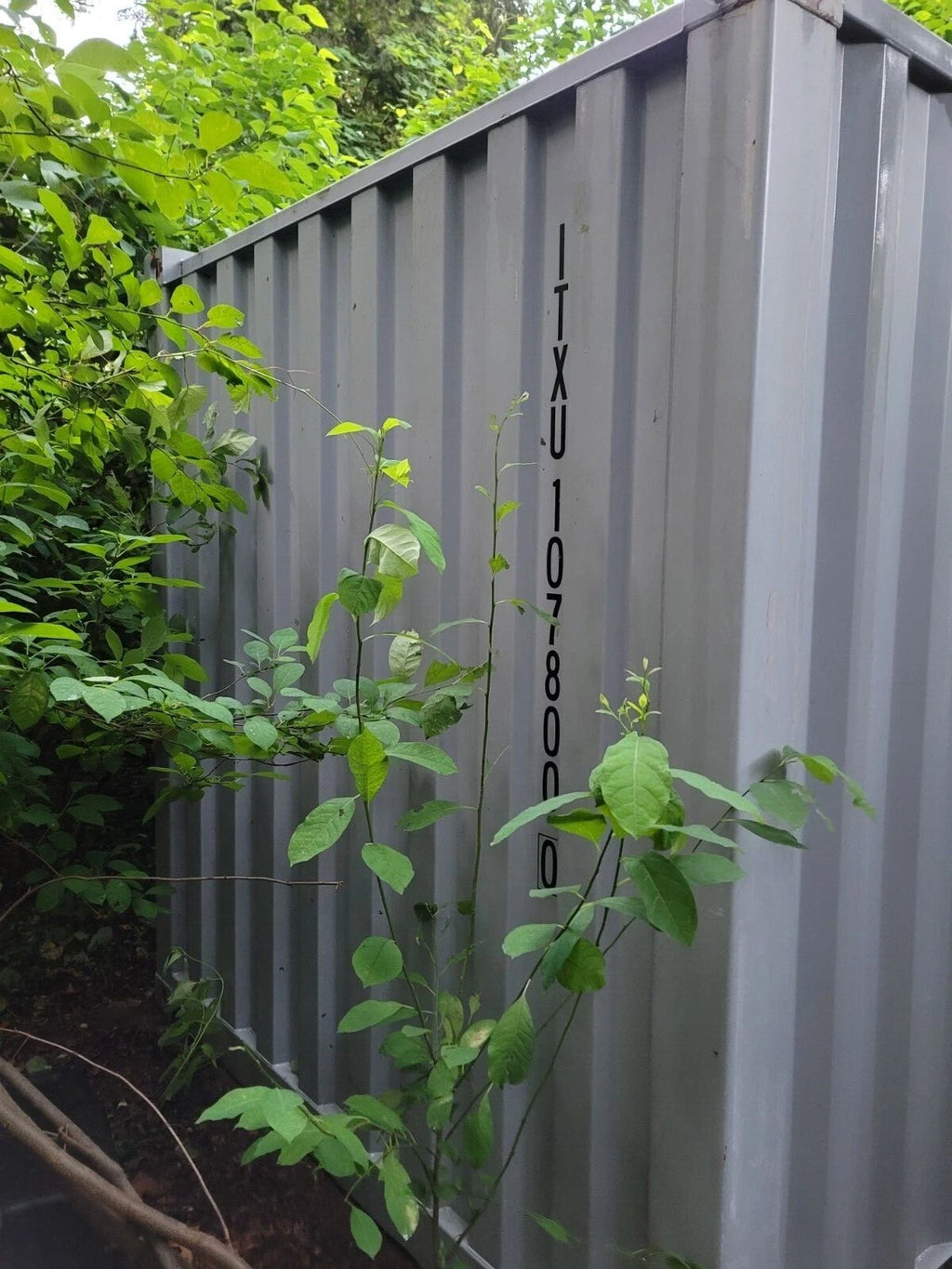 20Ft Steel Shipping Container/Storage Container